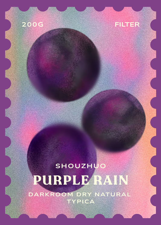 Purple Rain [ShouZhuo]