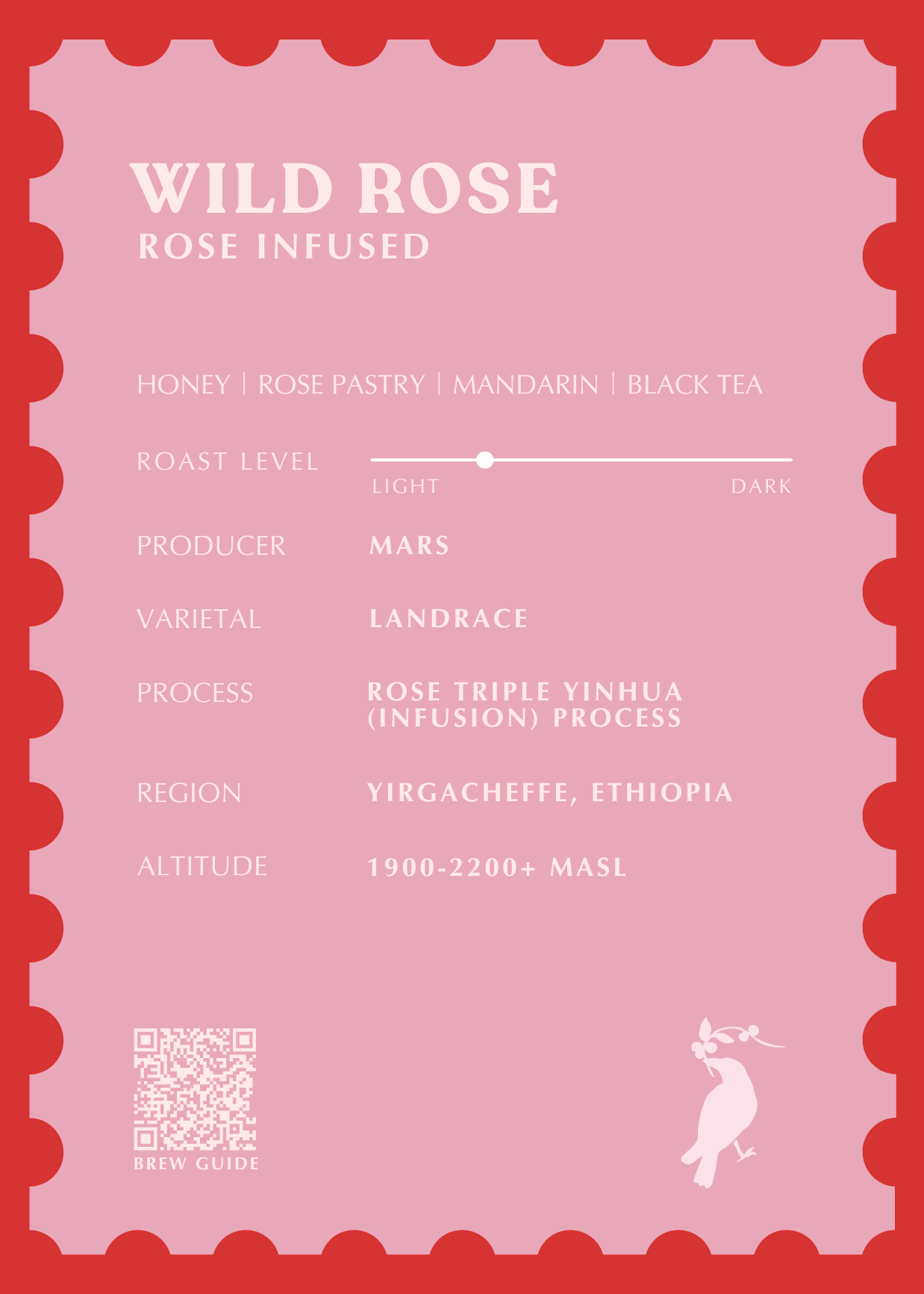 Wild Rose [Triple Rose Infusion]