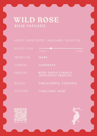 Wild Rose [Triple Rose Infusion]