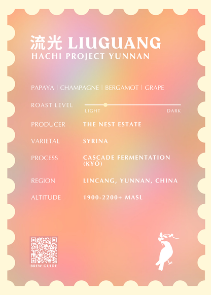 流光 LIÚGUĀNG Lot 39-1 [HACHI PROJECT]