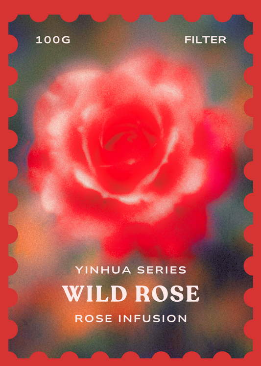 Wild Rose [Triple Rose Infusion]