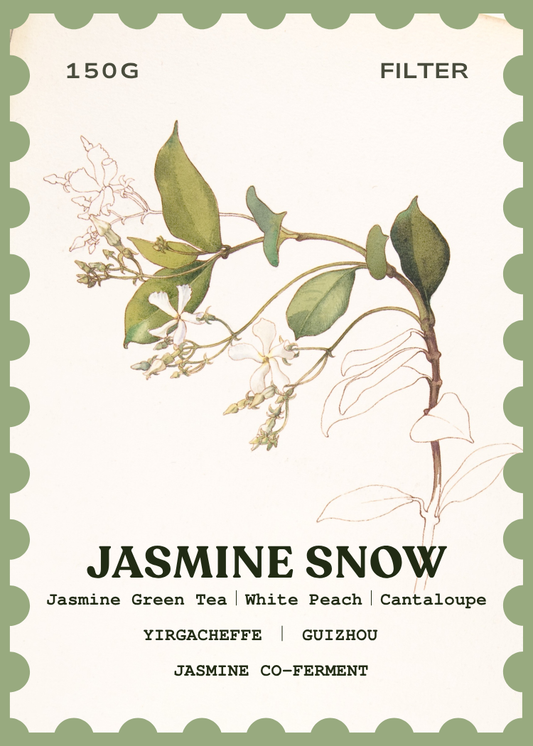 Jasmine Snow [Jasmine Co-ferment] - Red Raven Roaster