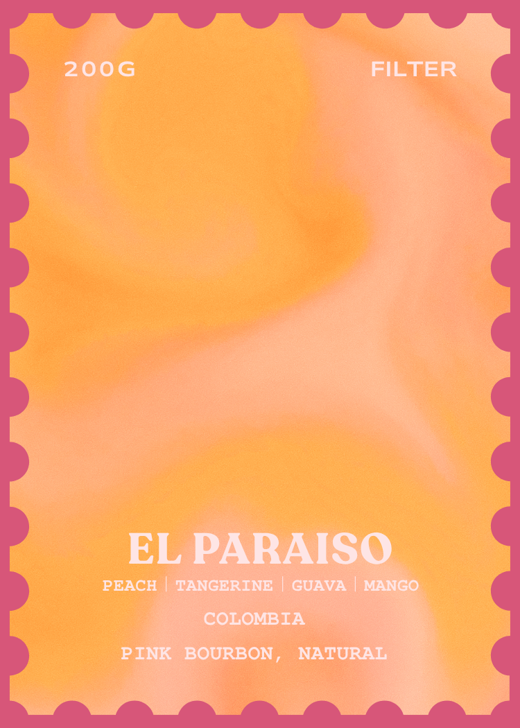 Colombia Paraiso Pink Bourbon - Red Raven Roaster