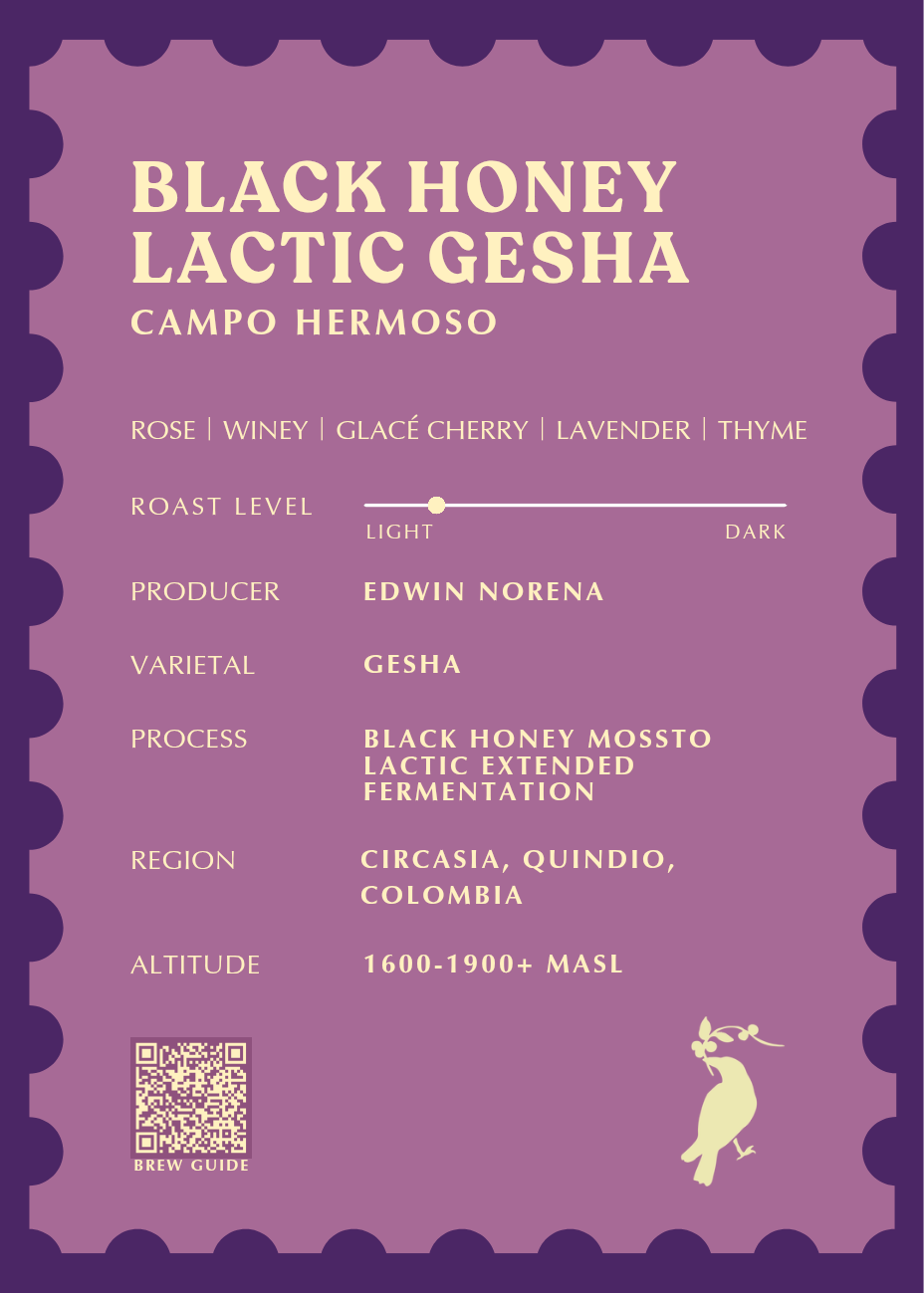 Black Honey Lactic Geisha  [Campo Hermoso]