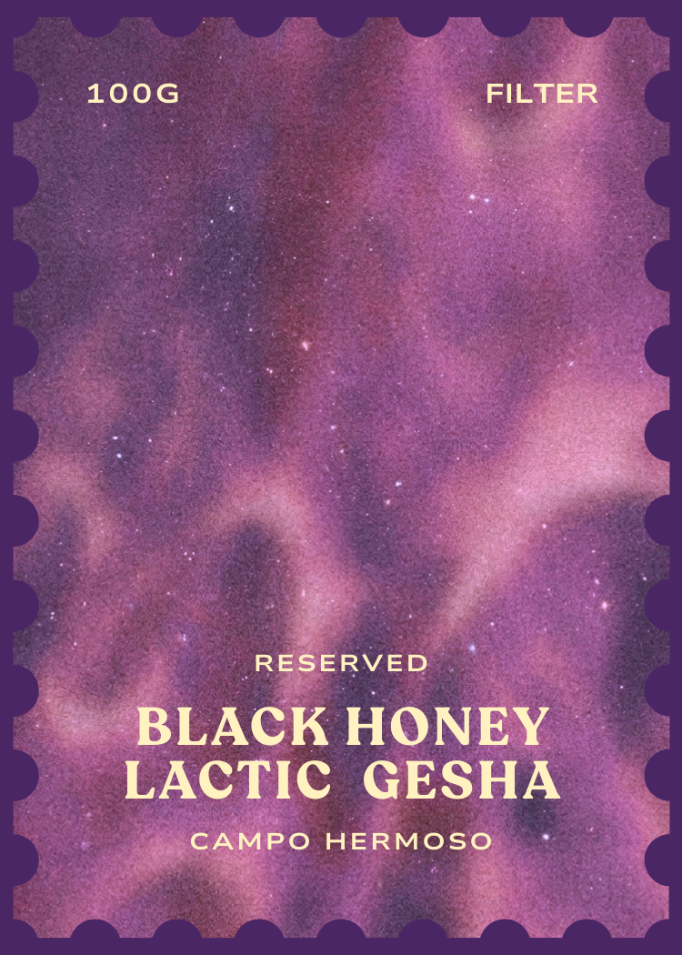 Black Honey Lactic Geisha  [Campo Hermoso]